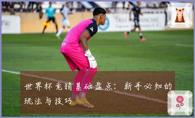 世界杯竞猜基础盘点：新手必知的玩法与技巧