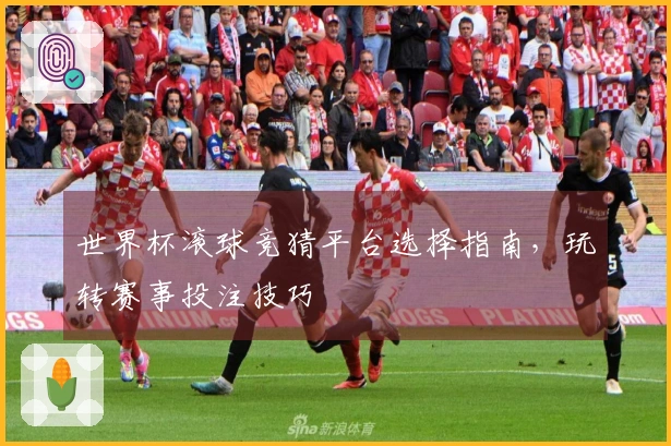 世界杯滚球竞猜平台选择指南，玩转赛事投注技巧