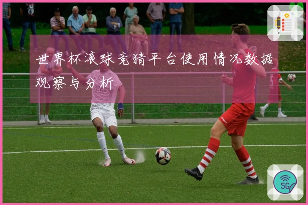 世界杯滚球竞猜平台使用情况数据观察与分析