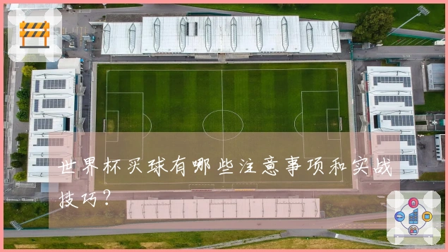 世界杯买球有哪些注意事项和实战技巧？
