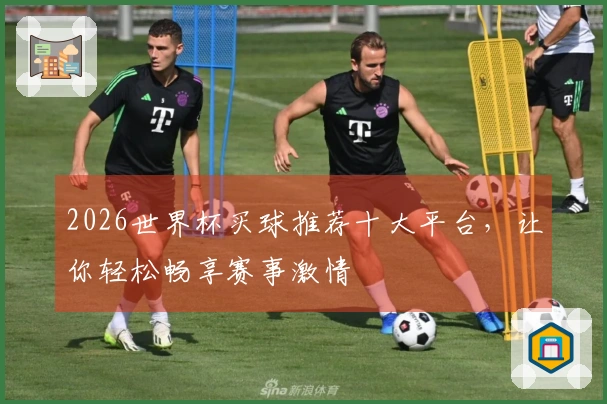 2026世界杯买球推荐十大平台，让你轻松畅享赛事激情