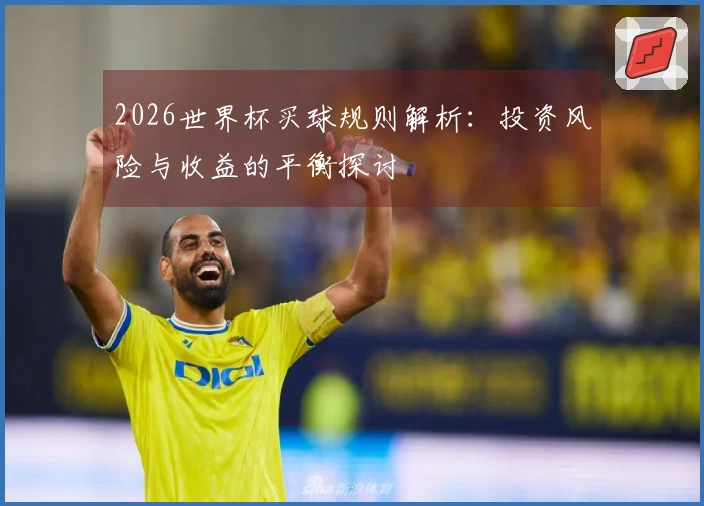 2026世界杯买球规则解析：投资风险与收益的平衡探讨